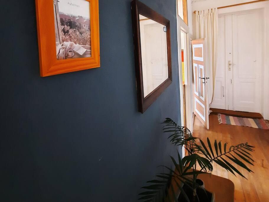 Altbau Charme & Mittendrin Stralsund Luaran gambar